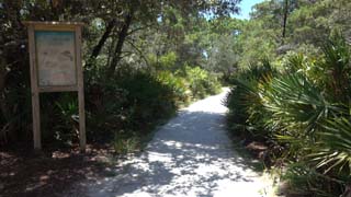 Sidewalk
